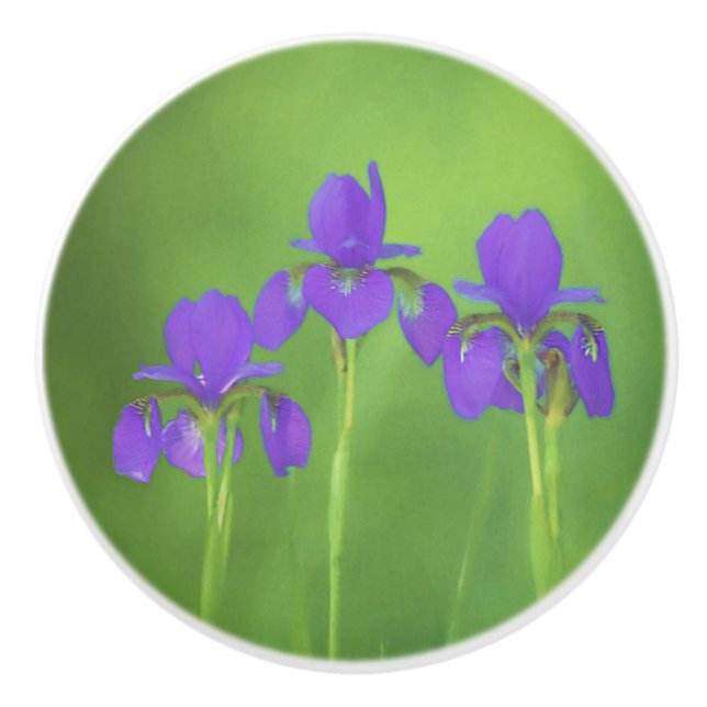 Lila Iris-Malerei - Original Blume Kunst Keramikknauf (Vorderseite)