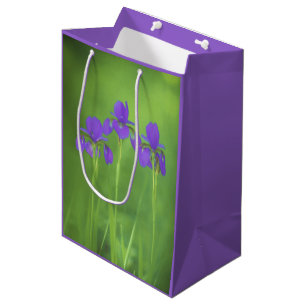 Lila Iris-Malerei - Original Blume Kunst Mittlere Geschenktüte