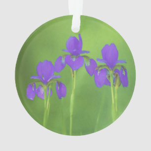 Lila Iris-Malerei - Original Blume Kunst Ornament