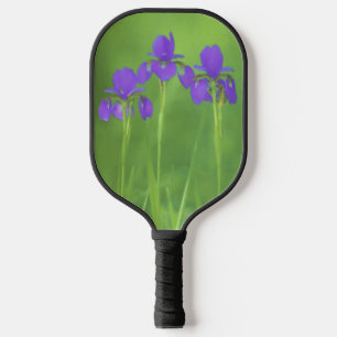 Lila Iris-Malerei - Original Blume Kunst Pickleball Schläger