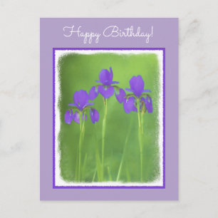 Lila Iris-Malerei - Original Blume Kunst Postkarte