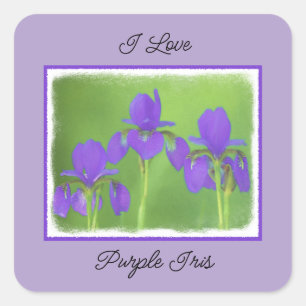 Lila Iris-Malerei - Original Blume Kunst Quadratischer Aufkleber
