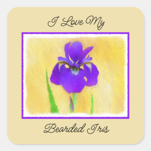 Lila Iris-Malerei - Original Blume Kunst Quadratischer Aufkleber
