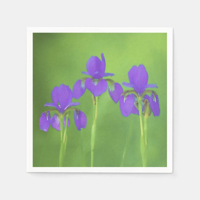 Lila Iris-Malerei - Original Blume Kunst Serviette (Vorderseite)