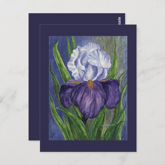 Lila Iris Mini Collectible Prints Postkarte (Vorne/Hinten)