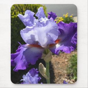 Lila Iris Mouse Pad Mousepad