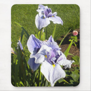 Lila Iris Mousepad