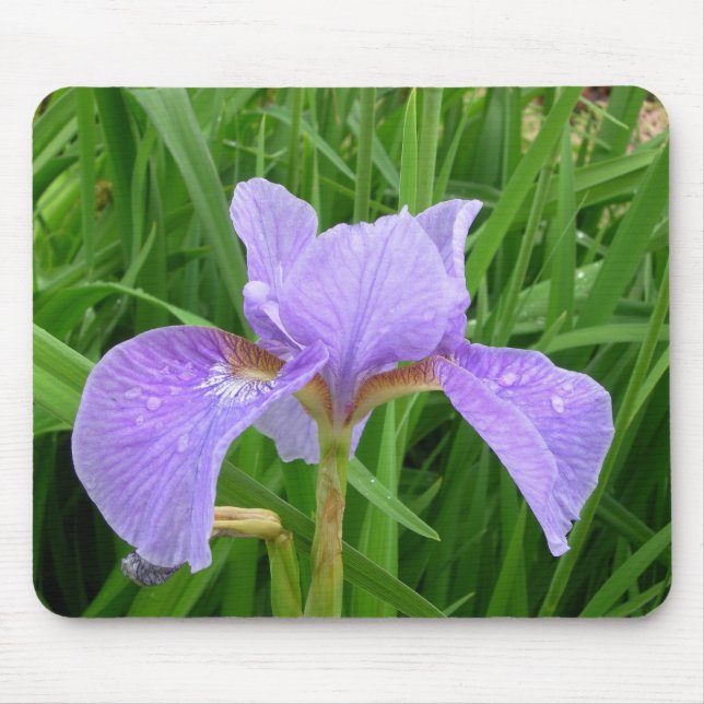 Lila Iris Mousepad (Vorne)