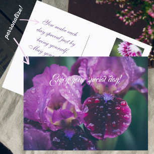 Lila Iris nach Regen Postkarte