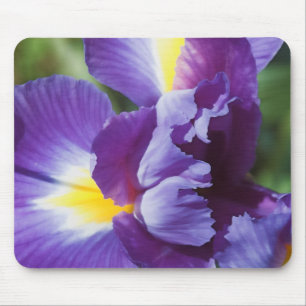 lila Iris nah Mousepad