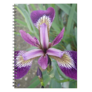 Lila Iris-Notebook Notizblock