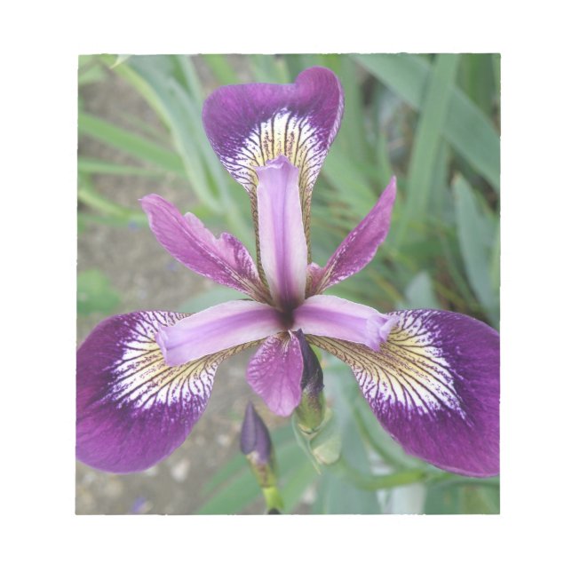 Lila Iris Notepad Notizblock (Vorderseite)