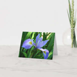 Lila Iris Notizkarte Karte