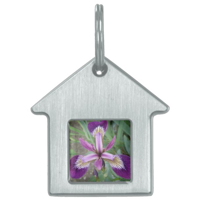 Lila Iris Pet Tag Tiermarke (Vorderseite)