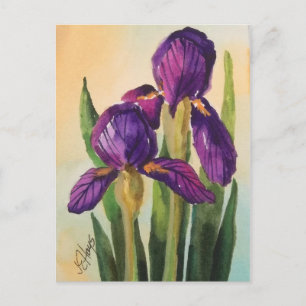 Lila Iris Postkarte
