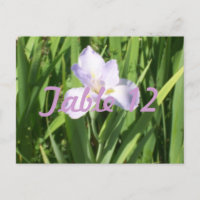 Lila Iris-Tischnummer