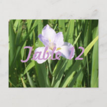 Lila Iris-Tischnummer