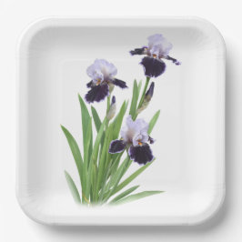 Lila Iris Trio Botanische Kunst Pappteller