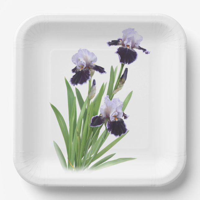 Lila Iris Trio Botanische Kunst Pappteller (Vorderseite)