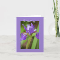 Lila Iris - Vermisste Karte