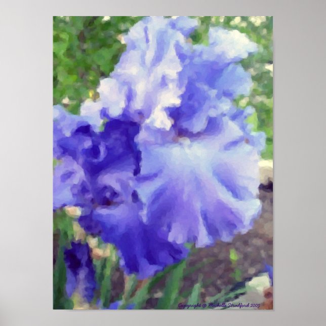 Lila Iris Watercolor Poster (Vorne)
