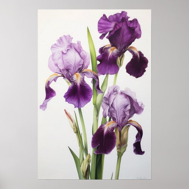Lila Irische Blume Art Print Poster (Vorne)