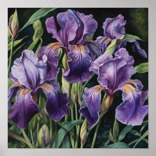 Lila Irische Blume Art Print Poster (Vorne)