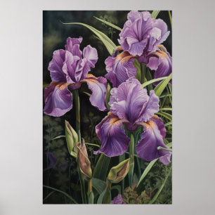 Lila Irische Blume Art Print Poster