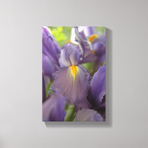 Lila Irische Blume Foto Leinwand Art Print