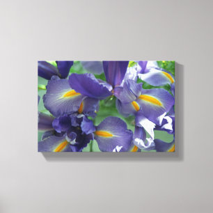 Lila Irische Blume Foto Leinwand Art Print