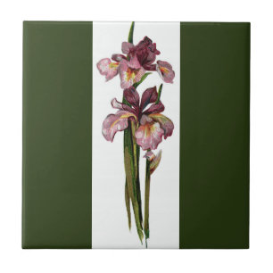 Lila Irises Dark Green Fliese