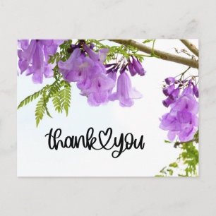 Lila Jacaranda Blume Vielen Dank Postkarte