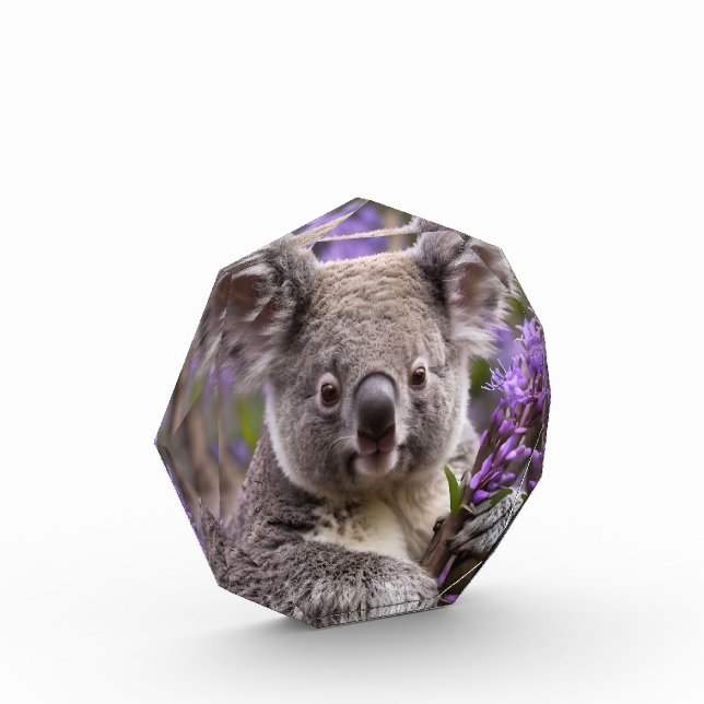 Lila Jacaranda Koala Bear, Fotoblock (Links)