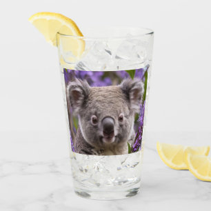 Lila Jacaranda Koala Bear, Glas