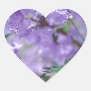 Lila Jacaranda Tree Blume Herz-Aufkleber