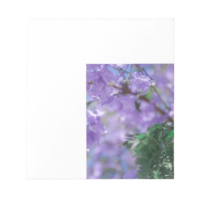 Lila Jacaranda Tree Blume Notizblock (Vorderseite)