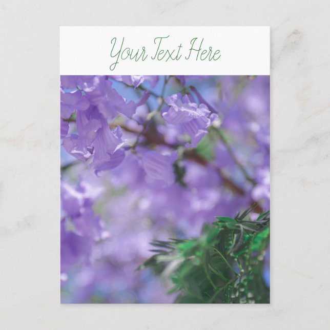 Lila Jacaranda Tree Blume Postkarte (Vorderseite)