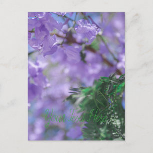 Lila Jacaranda Tree Blume Postkarte