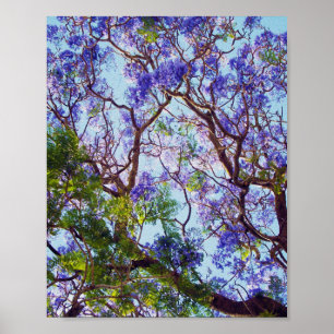 Lila Jacaranda Tree Oil Painting, Poster