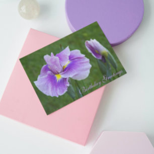 Lila Japanisch Iris Floral Geburtstag Karte