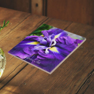 Lila Japanische Schwertlilie Blütenblume Fliese