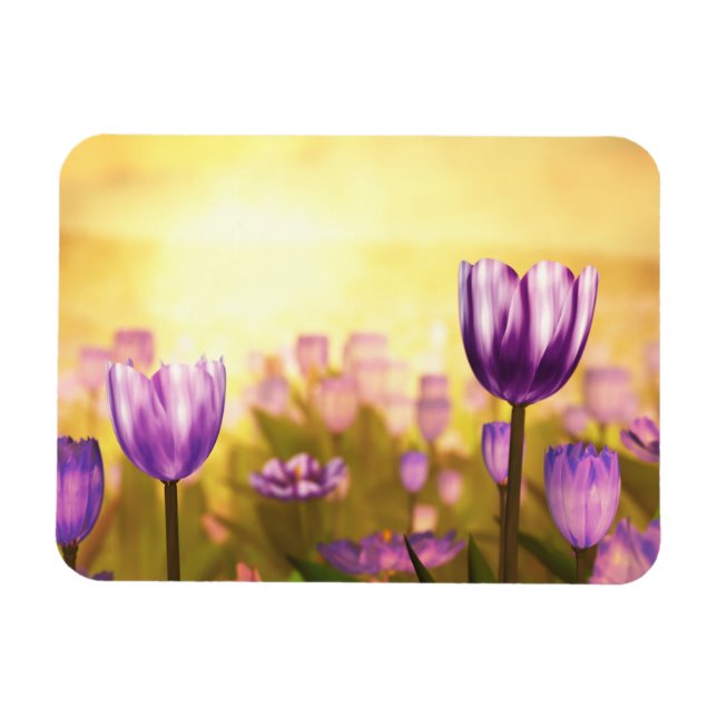 Lila Jubilee Flexible Magnet (Horizontal)