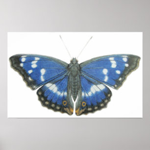 Lila Kaiser 2012 Poster