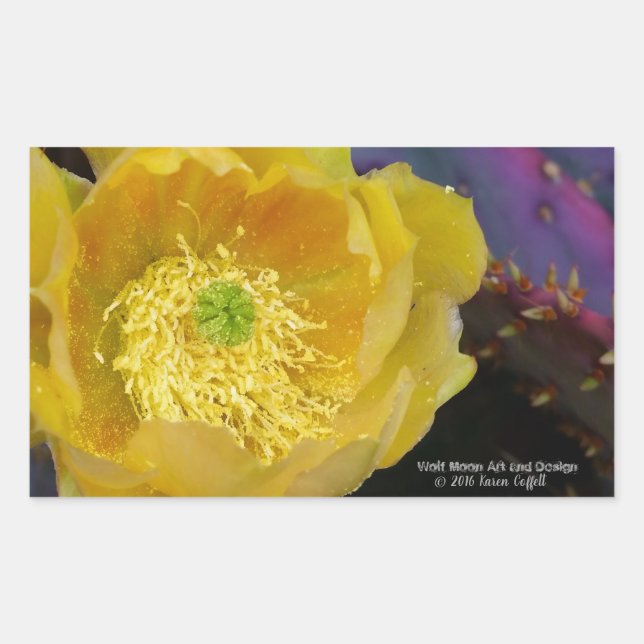 Lila Kakteen-Pantolblumen Rechteckiger Aufkleber (Vorderseite)