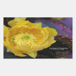 Lila Kakteen-Pantolblumen Rechteckiger Aufkleber