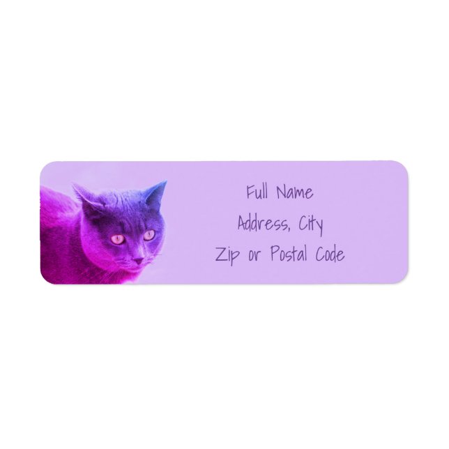 Lila Kitty Cat (Vorne)