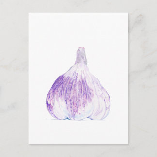 Lila Knoblauch Postkarte