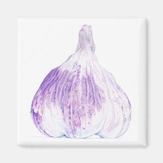 Lila Knoblauchmagen Magnet