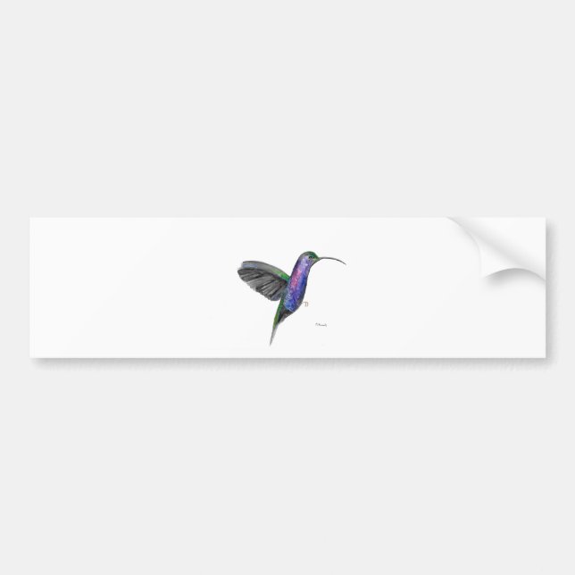 Lila Kolibri Autoaufkleber (Vorne)