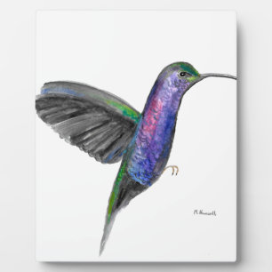Lila Kolibri Fotoplatte